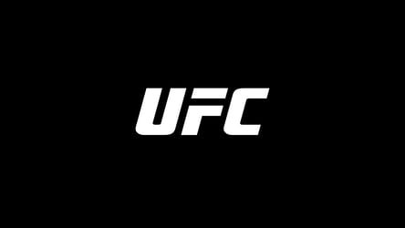 UFCファイトナイト・セントルイス：ルイス vs. ナシメントの画像