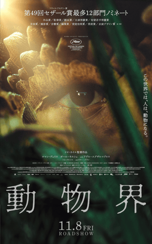 動物界の画像